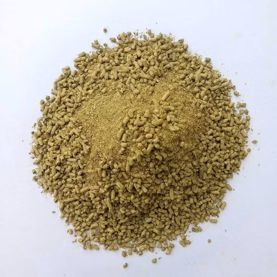 Extrato de flor de crisântemo selvagem de fábrica GMP/ pólen de crisântemo de alimentação de crisântemo Indicum L
