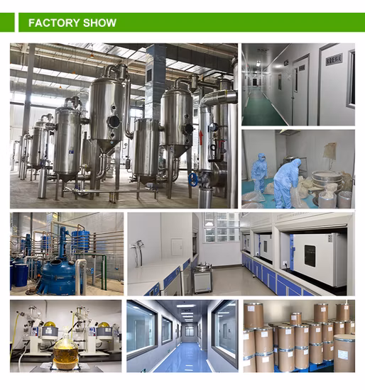 Extrato puro de cogumelo Shiitake Lentinan Shiitake Beta D Glucan